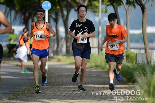 Heifer10 (361)