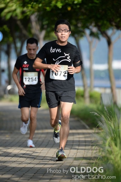 Heifer10 (373)