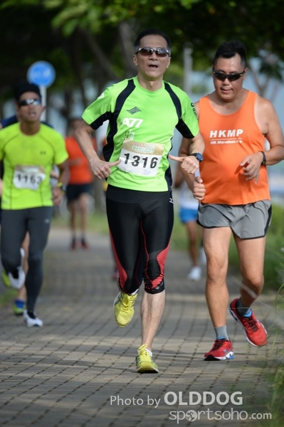 Heifer10 (377)