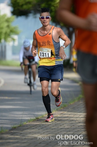 Heifer10 (380)