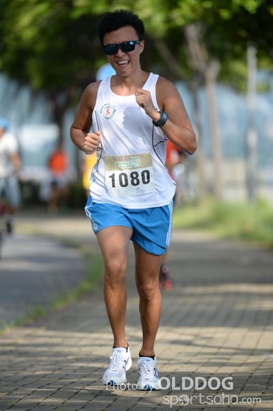 Heifer10 (381)
