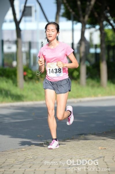 Heifer10 (383)