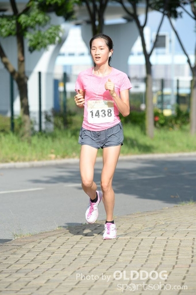 Heifer10 (384)