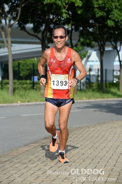 Heifer10 (387)
