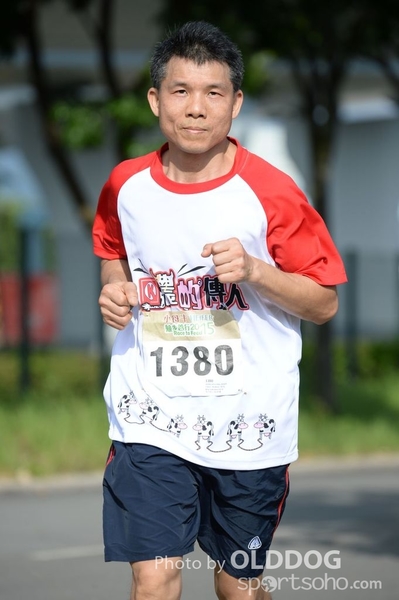Heifer10 (388)