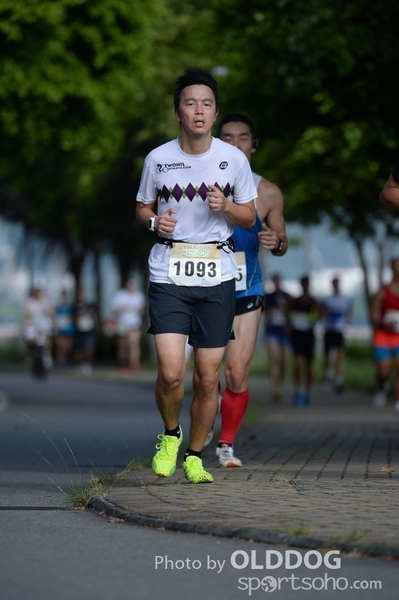 Heifer10 (435)