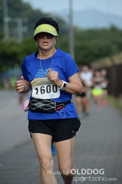 Heifer10 (479)