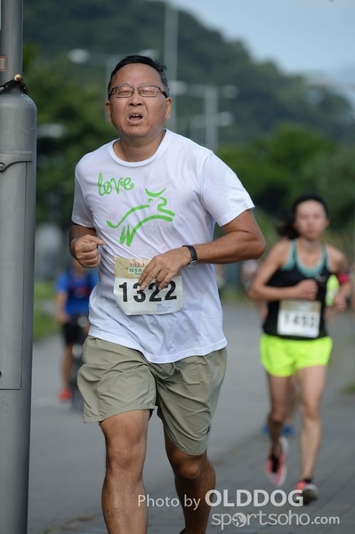 Heifer10 (483)