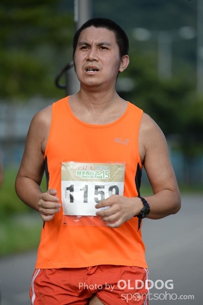 Heifer10 (488)