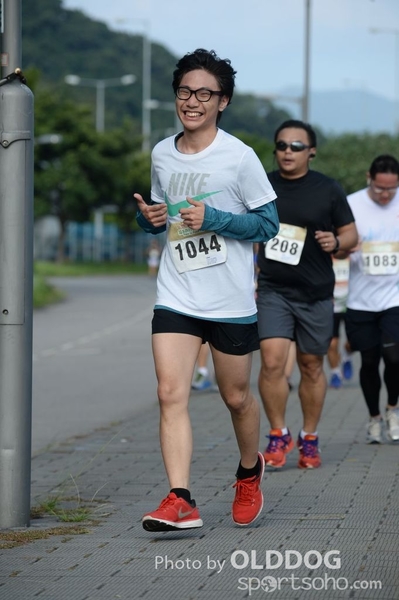 Heifer10 (490)