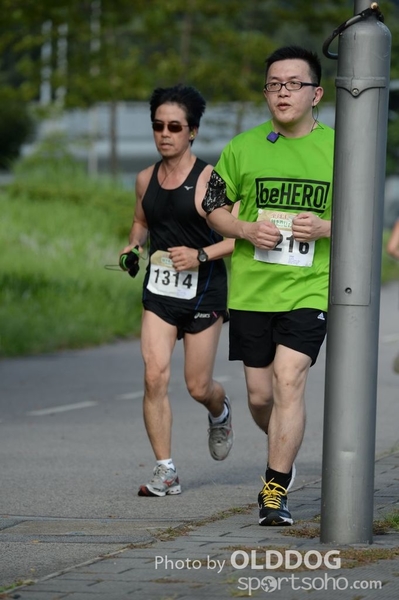 Heifer10 (495)