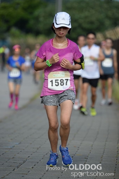 Heifer10 (496)