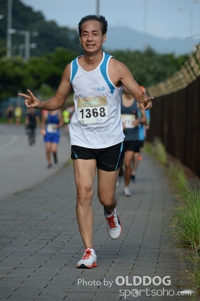 Heifer10 (499)