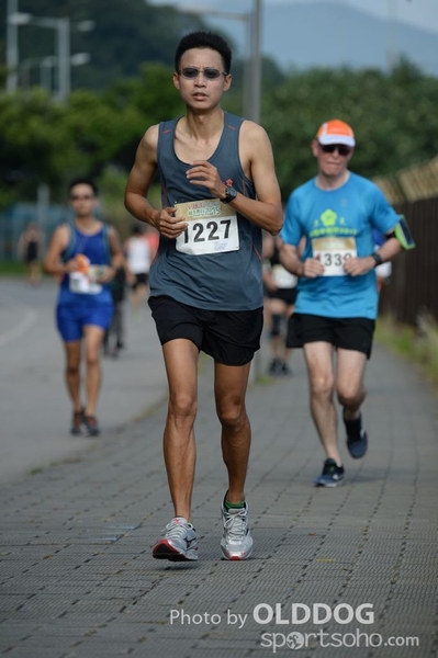 Heifer10 (500)
