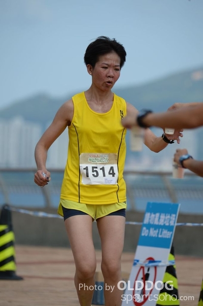 Heifer10 (544)