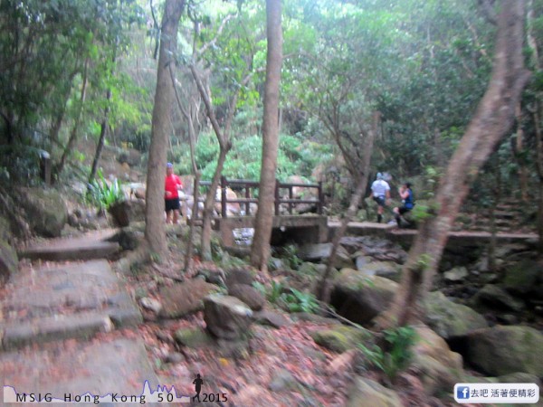 20151108_tam2gogo_028