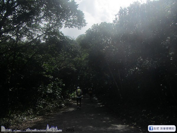 20151108_tam2gogo_155