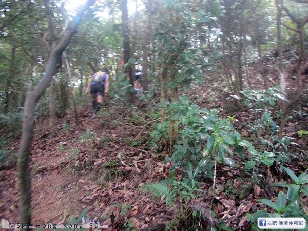 20151108_tam2gogo_157