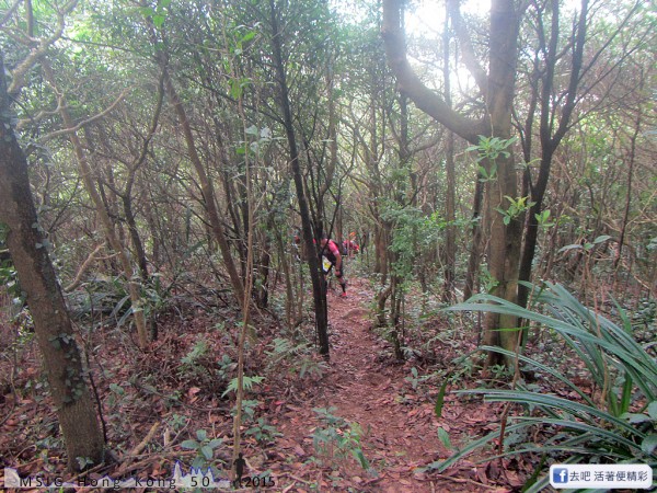 20151108_tam2gogo_158