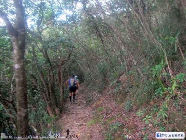 20151108_tam2gogo_168