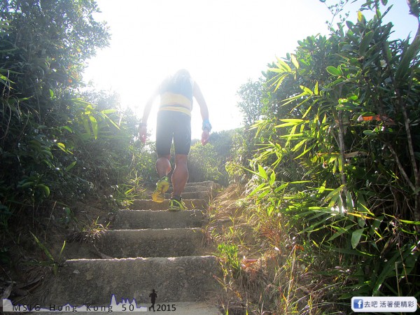 20151108_tam2gogo_184