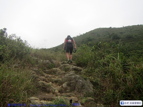 20151010_tam2gogo_pic100