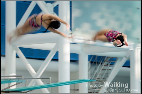 2015-11-14 Diving 0082