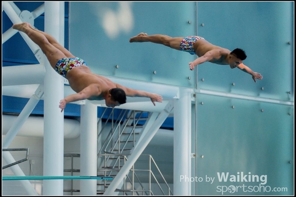 2015-11-14 Diving 0109