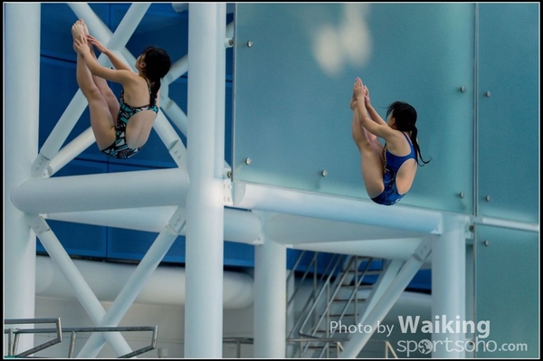 2015-11-14 Diving 0110