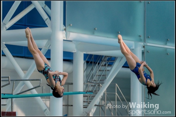 2015-11-14 Diving 0111