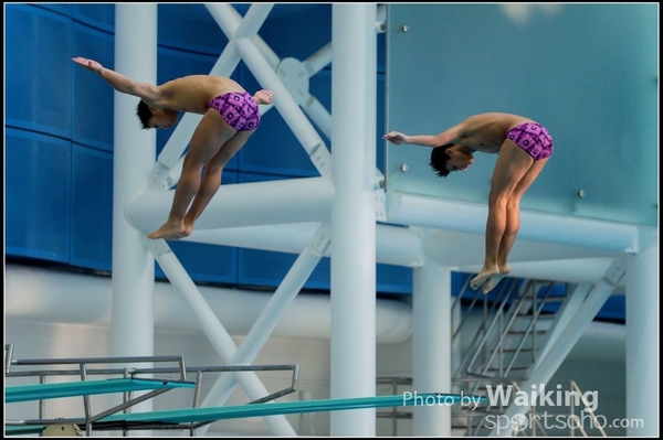 2015-11-14 Diving 0112