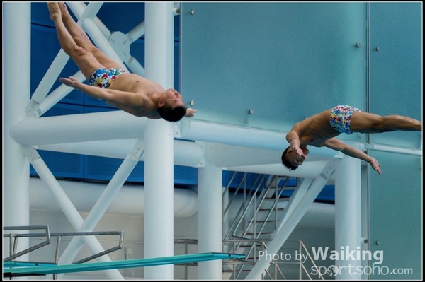 2015-11-14 Diving 0114
