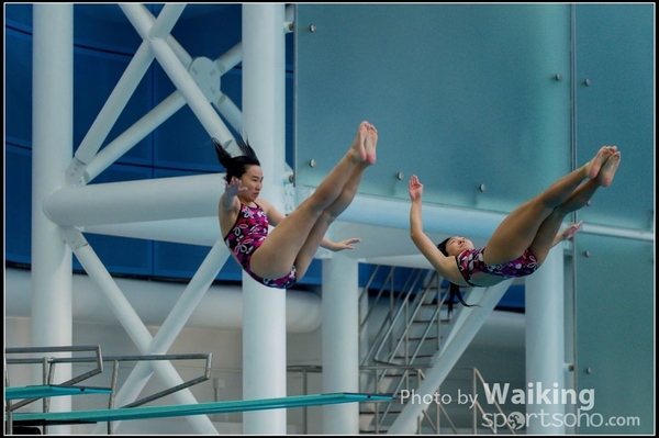 2015-11-14 Diving 0115