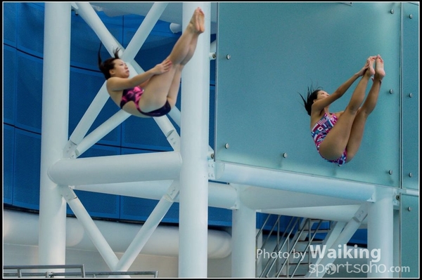2015-11-14 Diving 0116