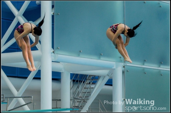 2015-11-14 Diving 0121