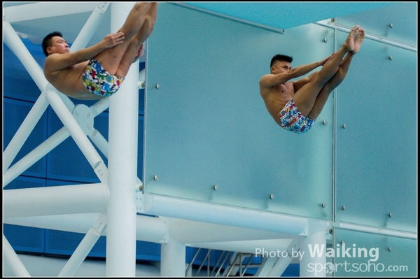 2015-11-14 Diving 0125