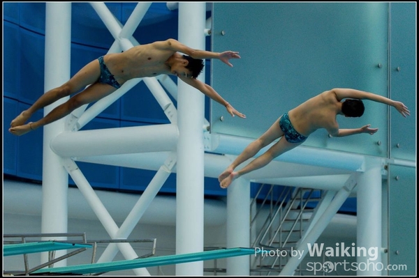2015-11-14 Diving 0134