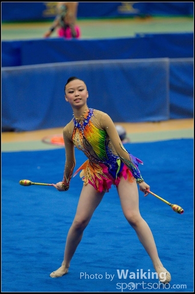 2015-11-15 Sticks 0026