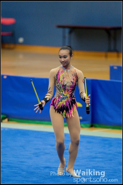 2015-11-15 Sticks 0071