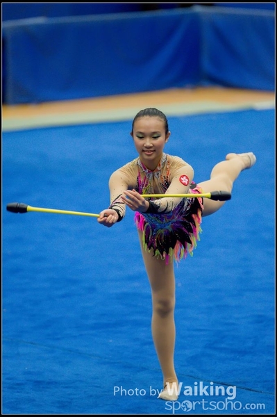 2015-11-15 Sticks 0073