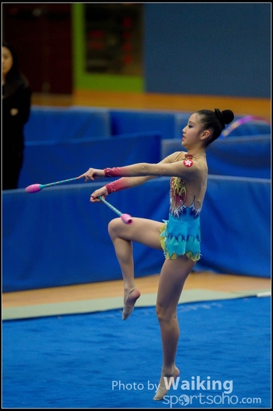 2015-11-15 Sticks 0126