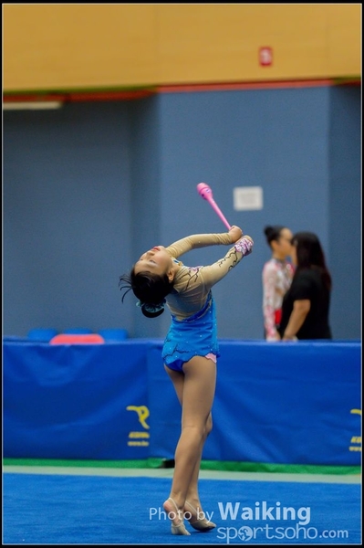 2015-11-15 Sticks 0165