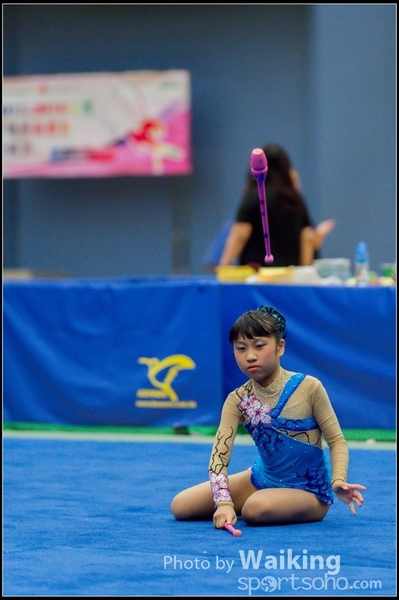 2015-11-15 Sticks 0166