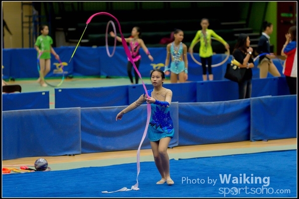 2015-11-15 Ribbon 0010