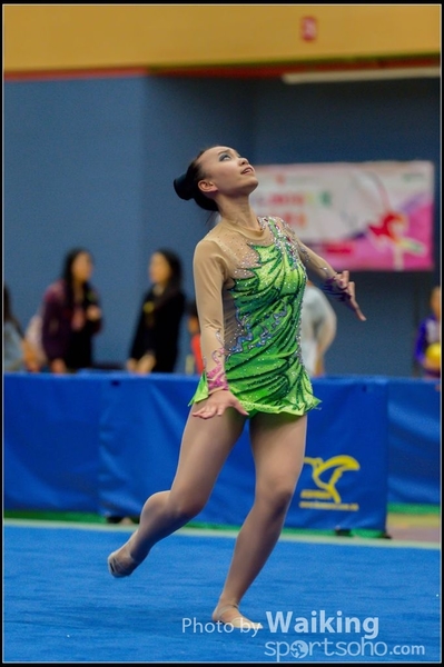 2015-11-15 Ribbon 0071