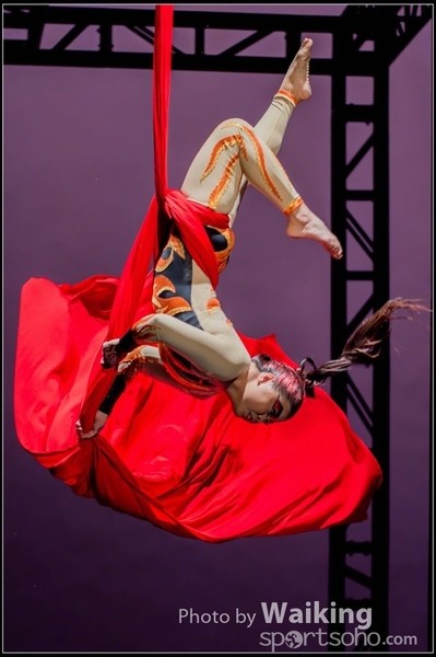 2015-11-19 Aerial Dance 0274