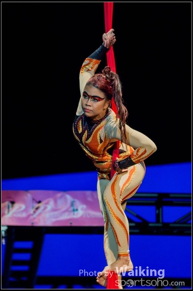 2015-11-19 Aerial Dance 0286