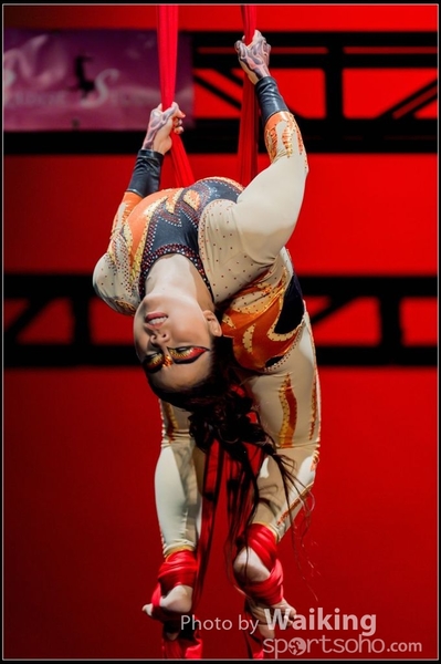 2015-11-19 Aerial Dance 0305