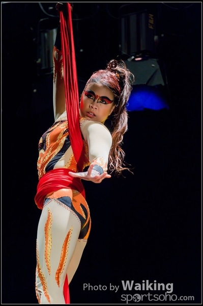 2015-11-19 Aerial Dance 0308