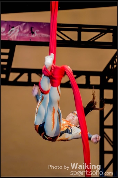2015-11-19 Aerial Dance 0309